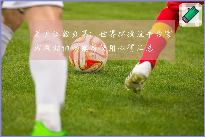用户体验分享：世界杯投注平台官方网站的功能与使用心得汇总
