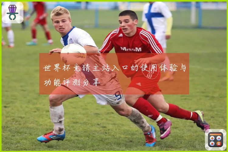 世界杯竞猜主站入口的使用体验与功能评测分享