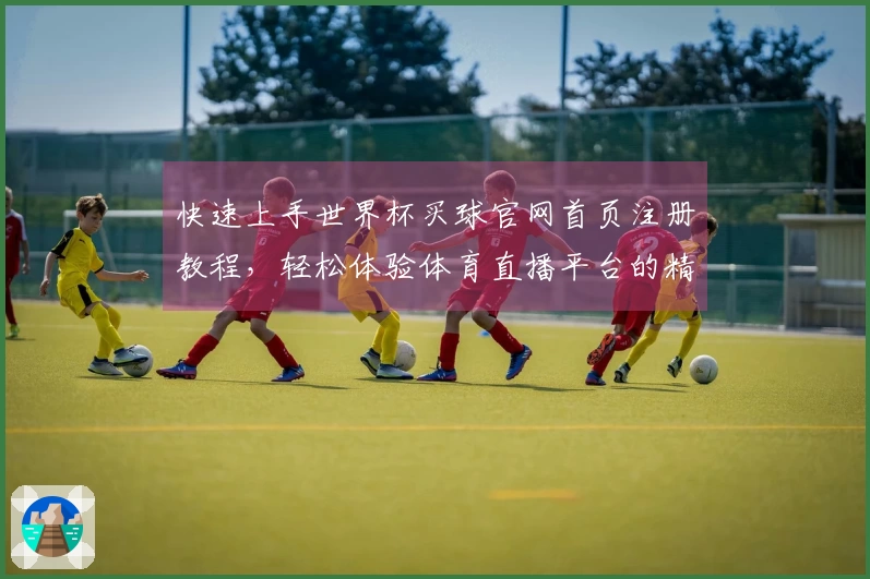 快速上手世界杯买球官网首页注册教程，轻松体验体育直播平台的精彩内容
