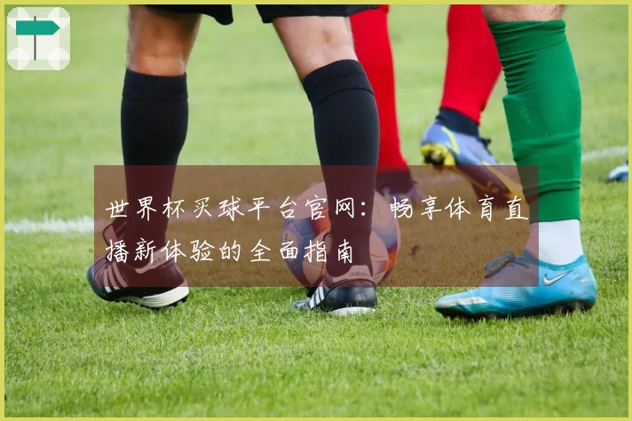 世界杯买球平台官网：畅享体育直播新体验的全面指南