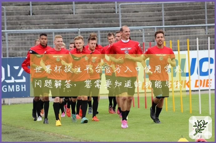 世界杯投注平台官方入口使用常见问题解答，您需要知道的功能与体验指南