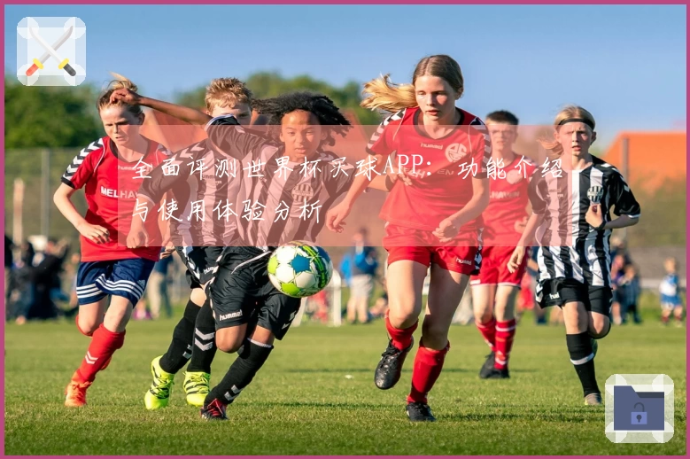 全面评测世界杯买球APP：功能介绍与使用体验分析