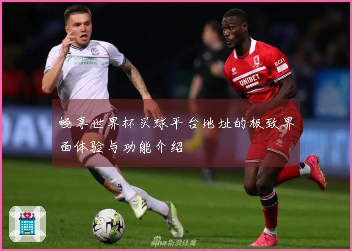畅享世界杯买球平台地址的极致界面体验与功能介绍