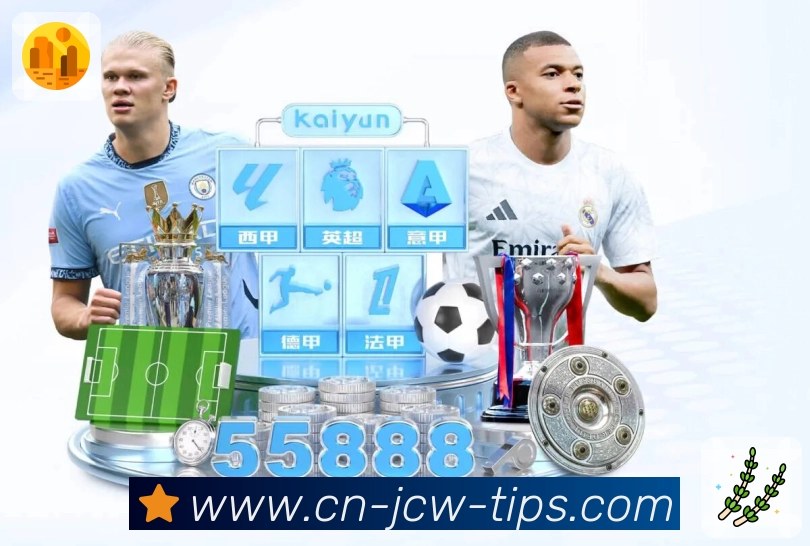 我们的使命与愿景（纯净体验）